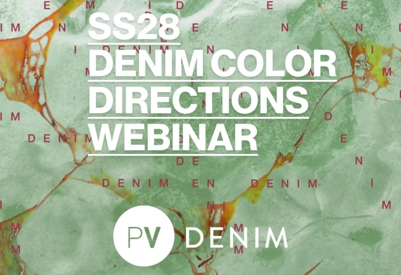 WEBINAIRE EXCLUSIF : DIRECTIONS COULEURS DENIM PE28